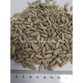 China Best Price Kernel Raw Peeled Sunflower Seeds for Bakery and Snack